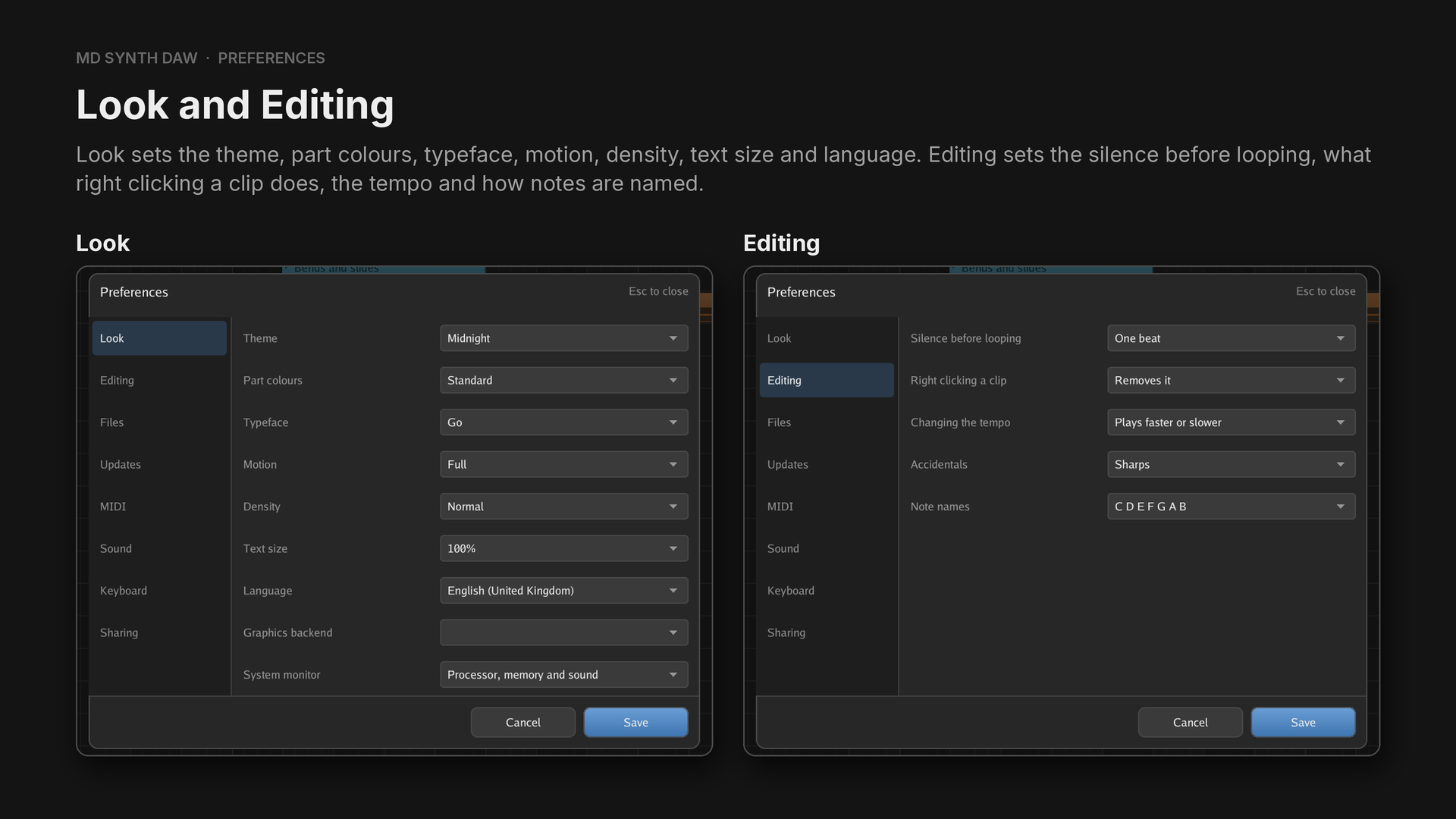 The Look and Editing preferences