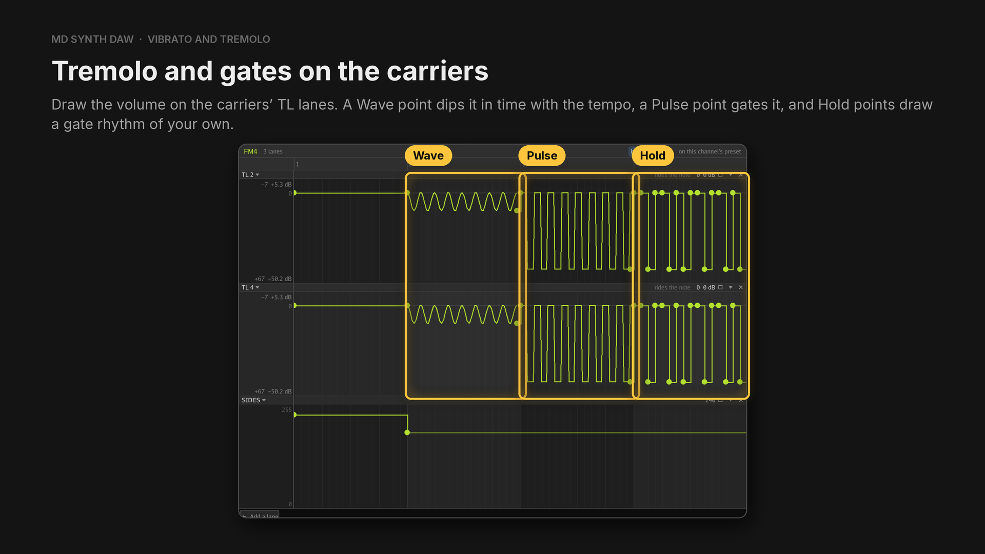 Wave, Pulse and Hold points on the carriers' TL